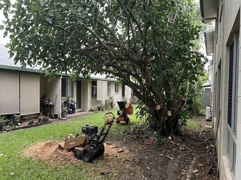 Green Waste Site Cleanup Cairns Qld