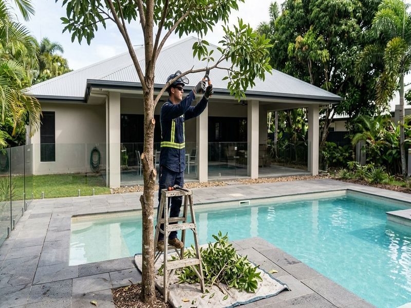 Land Clearing Vegetation Management Cairns North Qld