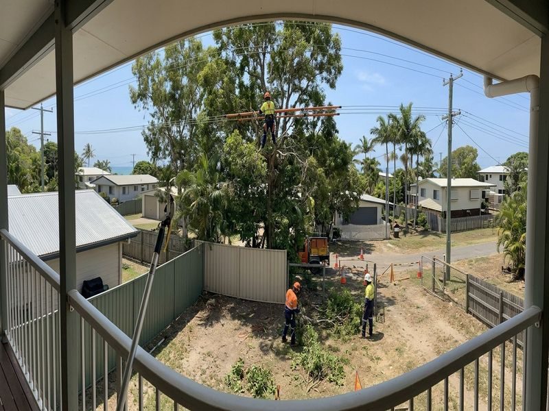Land Clearing Vegetation Management Cooya Beach Qld