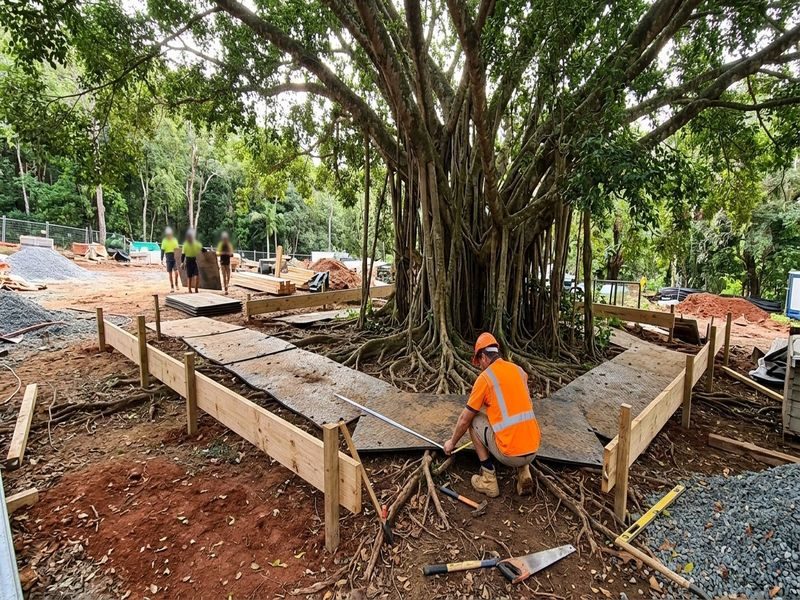 Land Clearing Vegetation Management Kuranda Qld