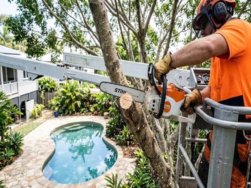 Tree Lopping Pruning Oak Beach Qld