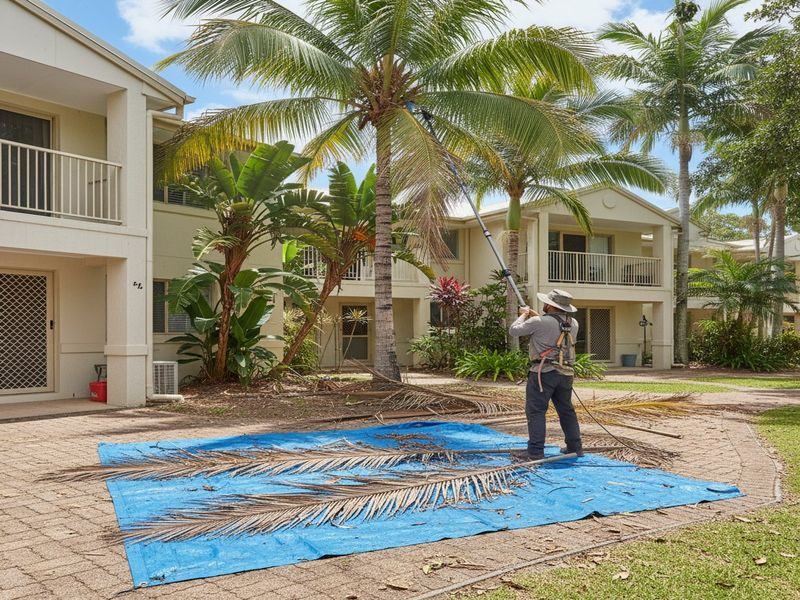 Green Waste Site Cleanup Port Douglas Qld