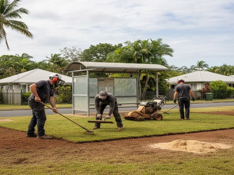School Tree Removal Cairns Qld
