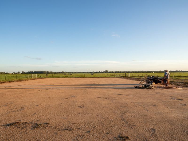 Stump Removal From Building Cairns Qld