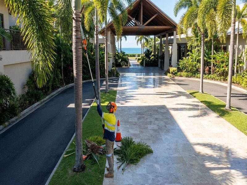 Body Corporate Palm Maintenance Cairns Qld