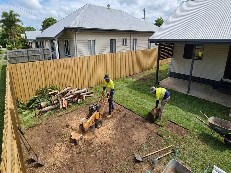 Multiple Dead Palm Removal Cairns Qld