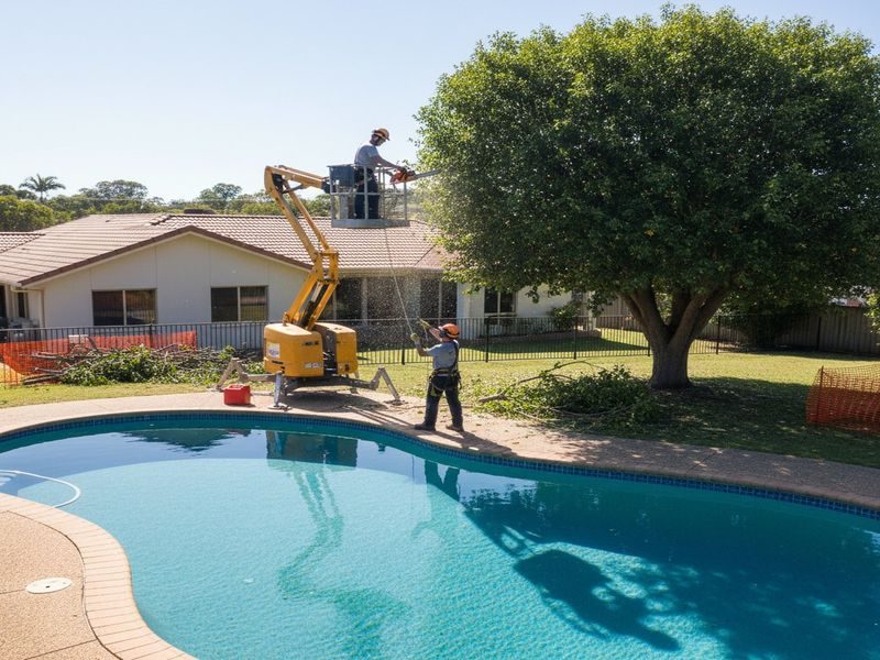 Ewp Commercial Tree Work Cairns Qld