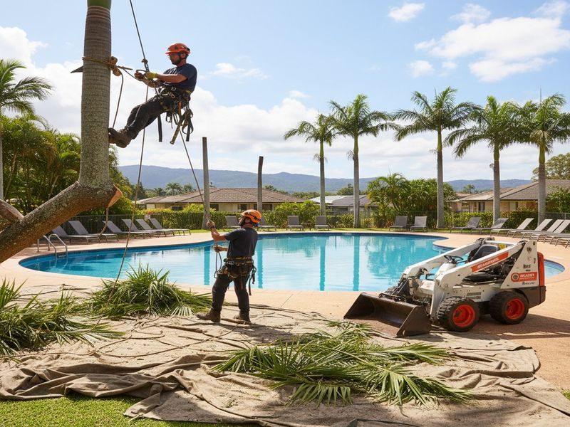 Sectional Removal Courtyards Cairns Qld