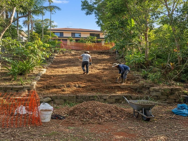 Tree Removal Below Properties Cairns Qld