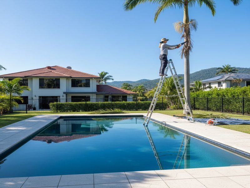 Tree Removal Near Boundary Cairns Qld
