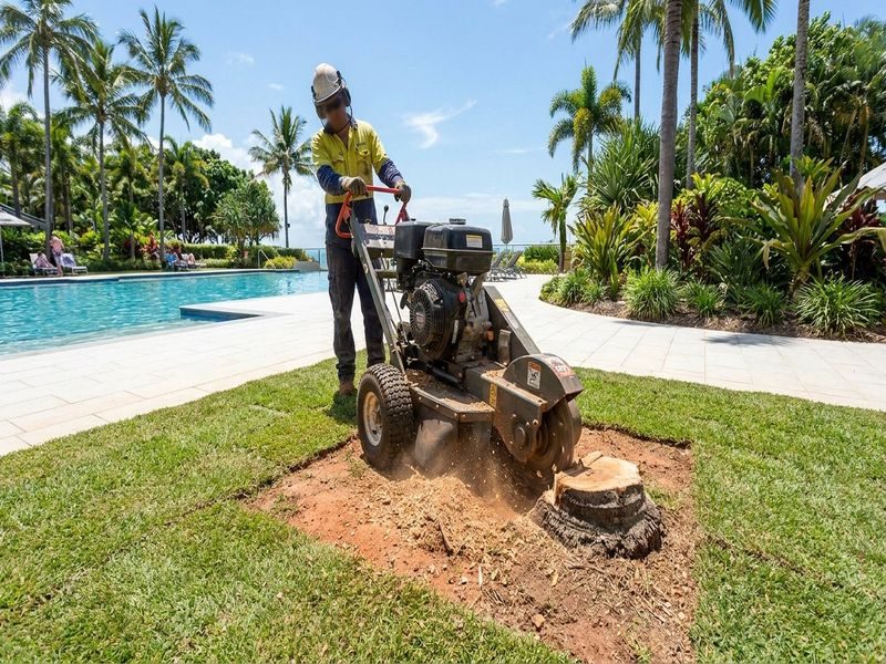 Small Stump Grinding Cairns Qld