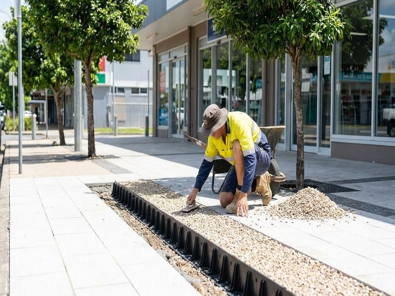 Stump Site Restoration Cairns Qld