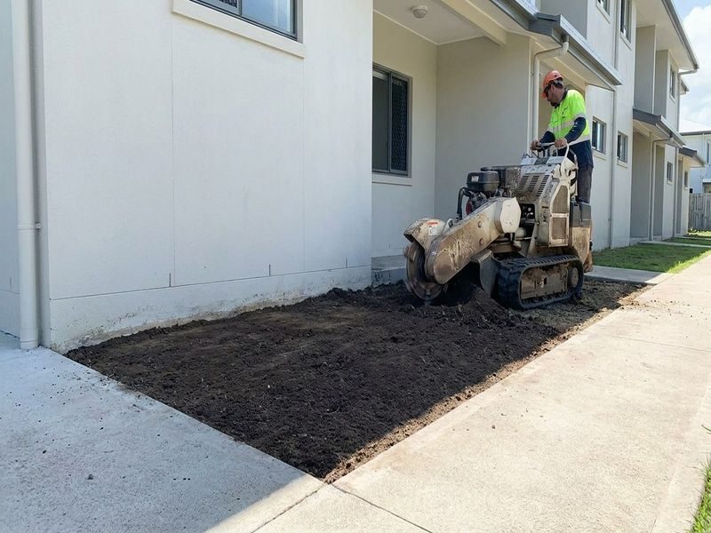 Cairns Qld Large Stump Grinding Near