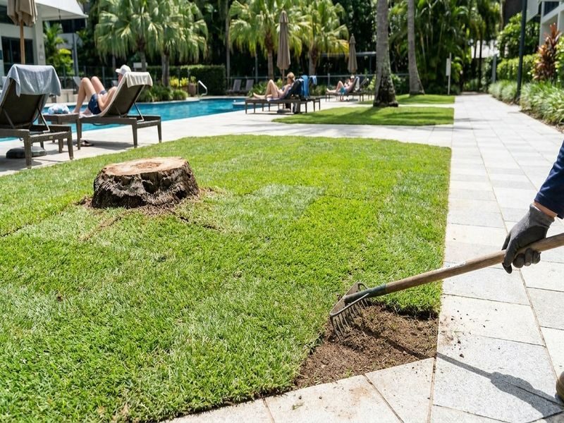Large Stump Grinding Near Cairns Qld
