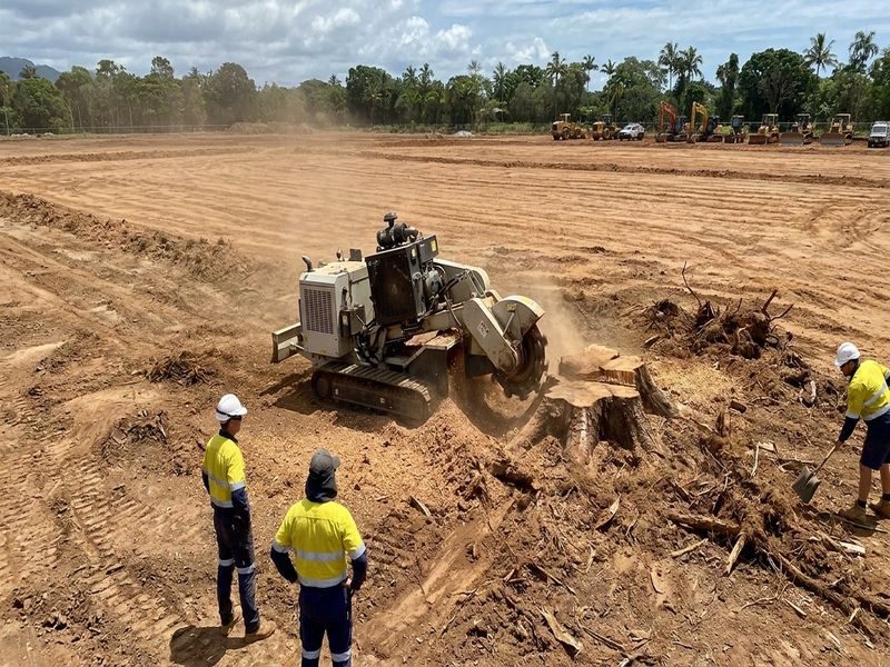 Large Stump Grinding With Cairns Qld