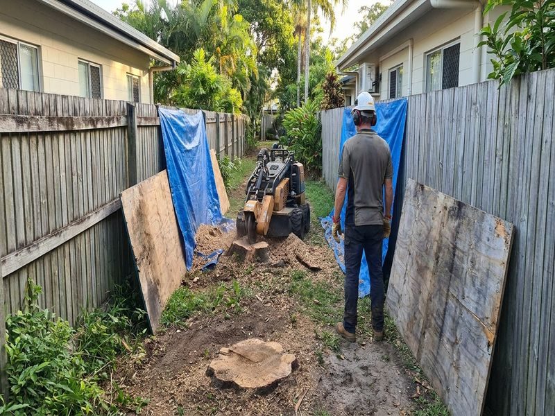 Commercial Multiple Stump Grinding Cairns Qld