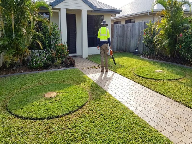 Three Stump Grinding Cairns Qld