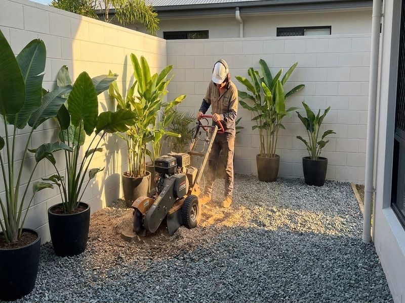 Stump Grinding Courtyards Cairns Qld