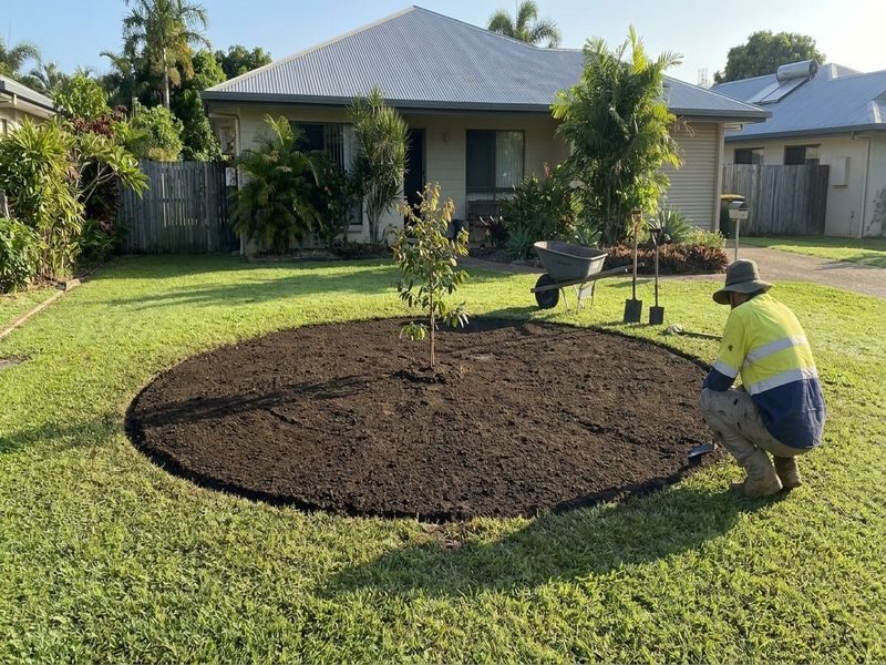 Palm Stump Grinding Near Cairns Qld