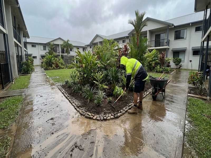 Root Barrier Invasive Trees Cairns Qld