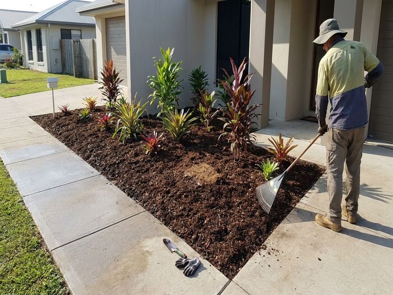 Shrub Stump Grinding Cairns Qld