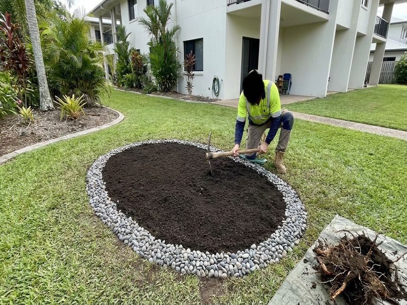Small Fruit Tree Stump Cairns Qld