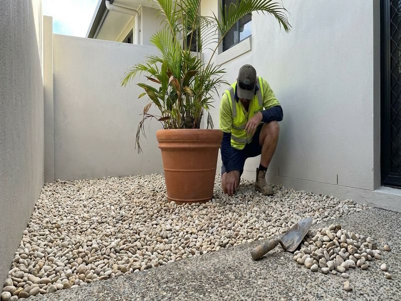 Small Stump Grinding Near Cairns Qld