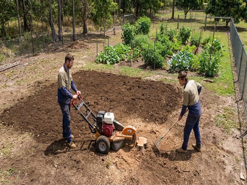 Small Stump Grinding Tight Cairns Qld