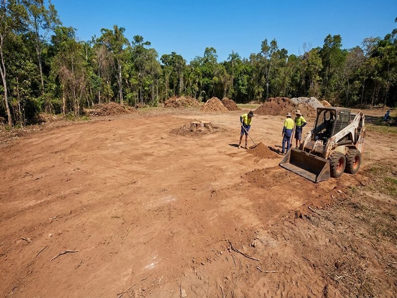 Palm Stump Removal Cairns Qld