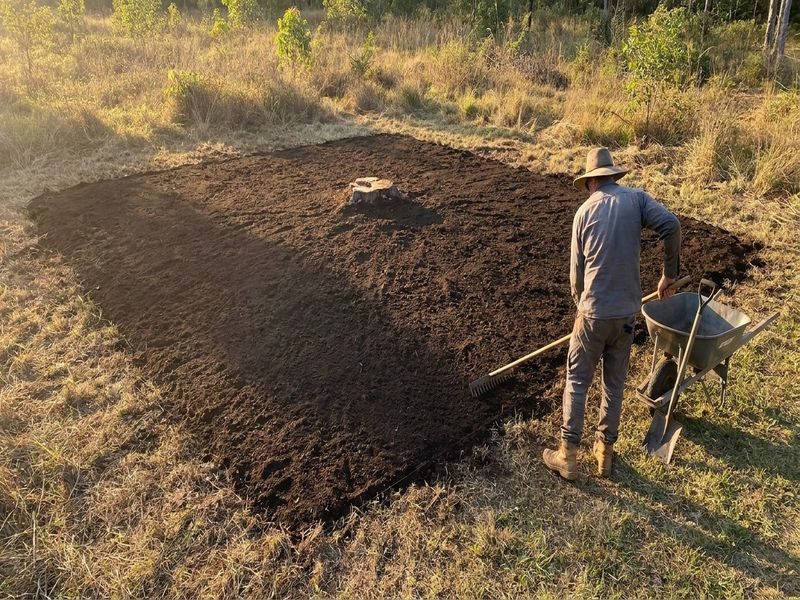 Stump Removal Waste Haulage Cairns Qld