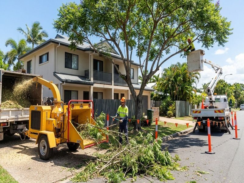 Tree Trimming Cairns Qld