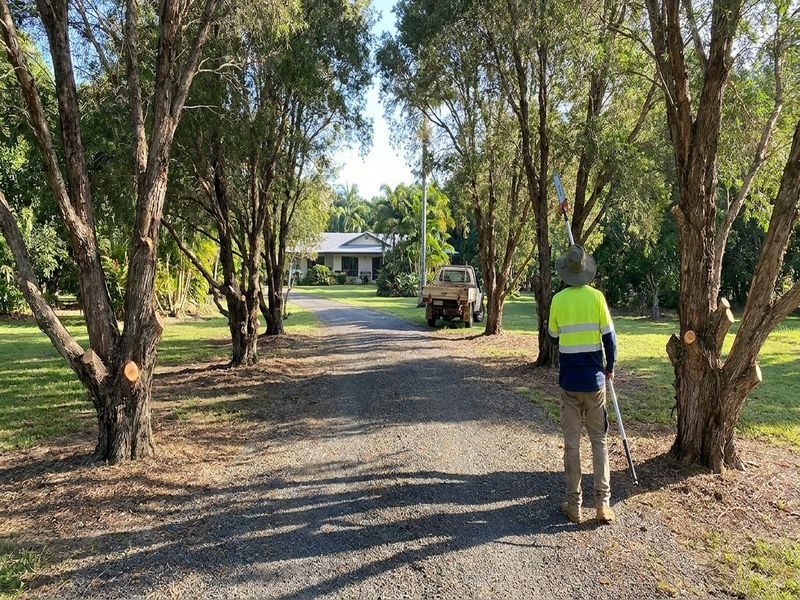 Weight Reduction Pruning Cairns Qld