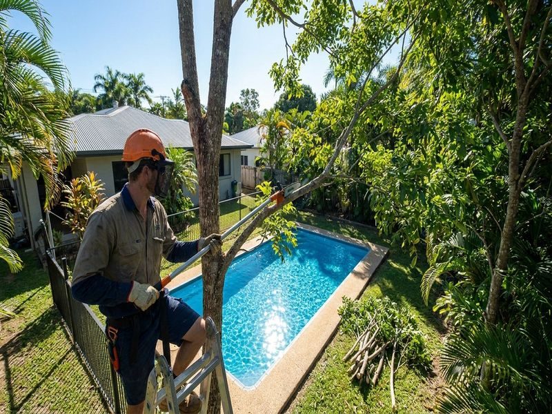 Crown Lifting With Low Cairns Qld