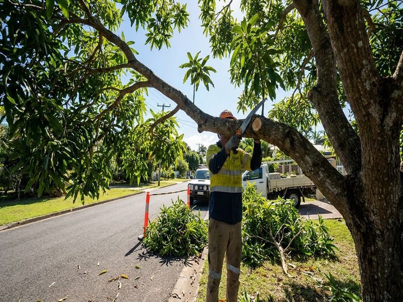 Driveway Crown Lifting Cairns Qld