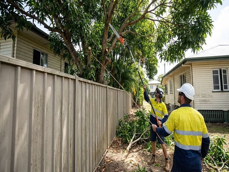 Garden Access Crown Lifting Cairns Qld