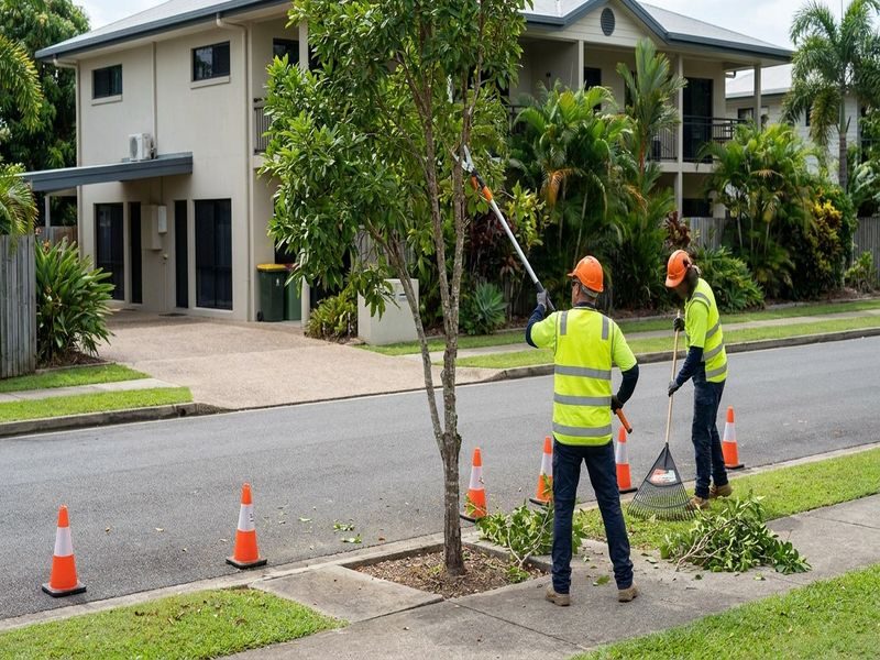 Garden Tree Formative Pruning Cairns Qld
