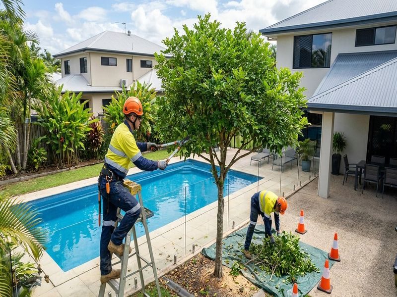 Street Tree Formative Pruning Cairns Qld