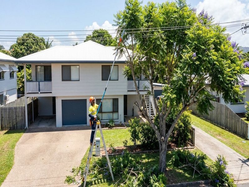 Tree Lopping Near Fences Cairns Qld