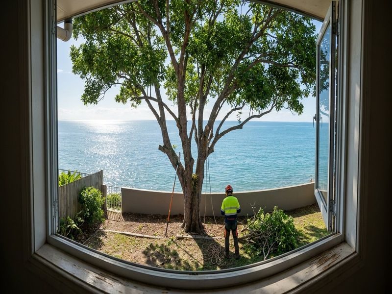 Tree Lopping Sunlight Improvement Cairns Qld