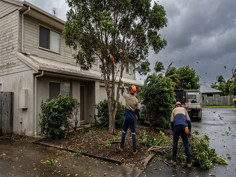 Residential Tree Pruning Cairns Qld