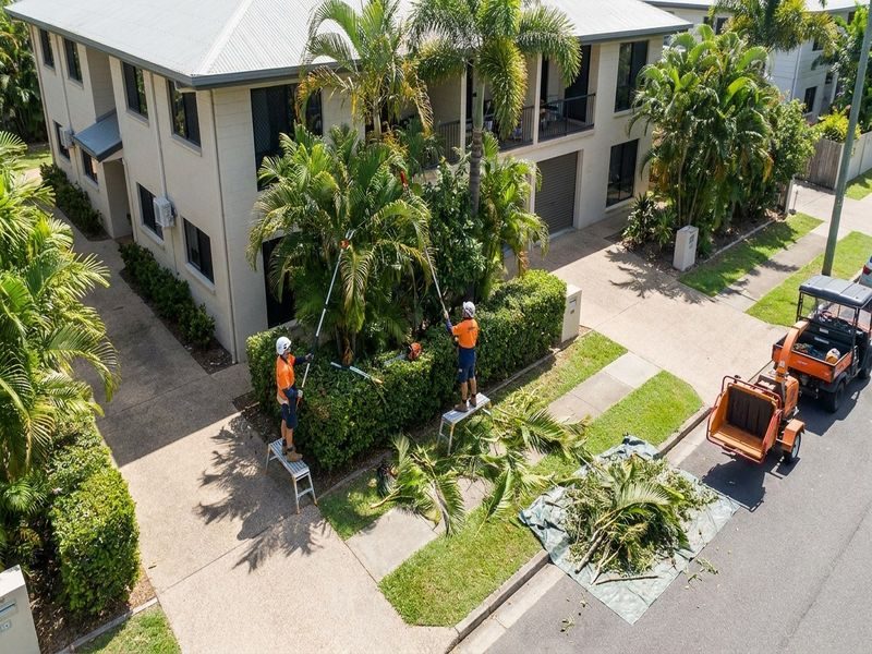 Business Premises Tree Trimming Cairns Qld