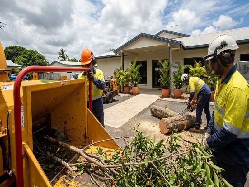 Diseased Tree Removal Cairns Qld