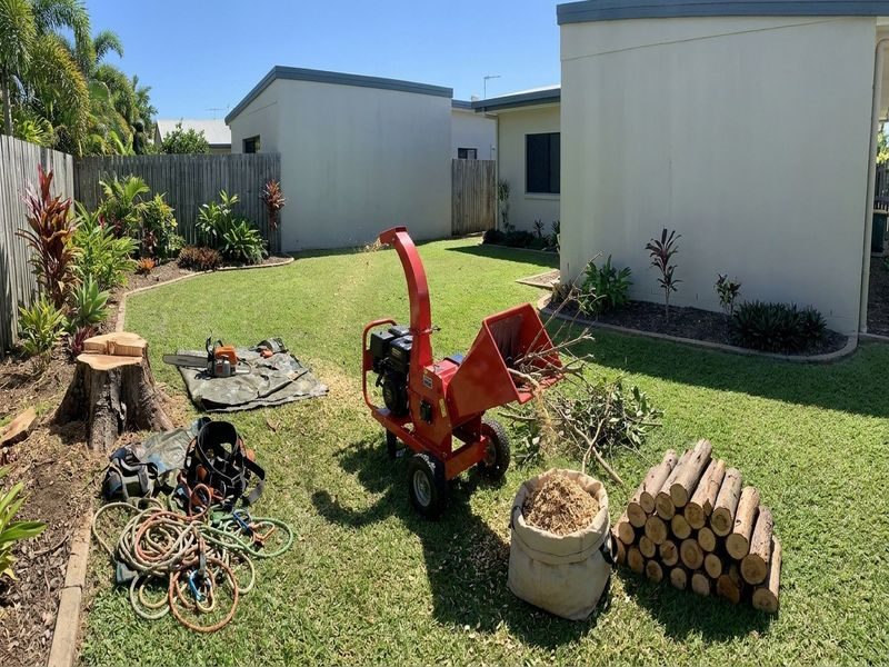 Multiple Tree Removal Cairns Qld