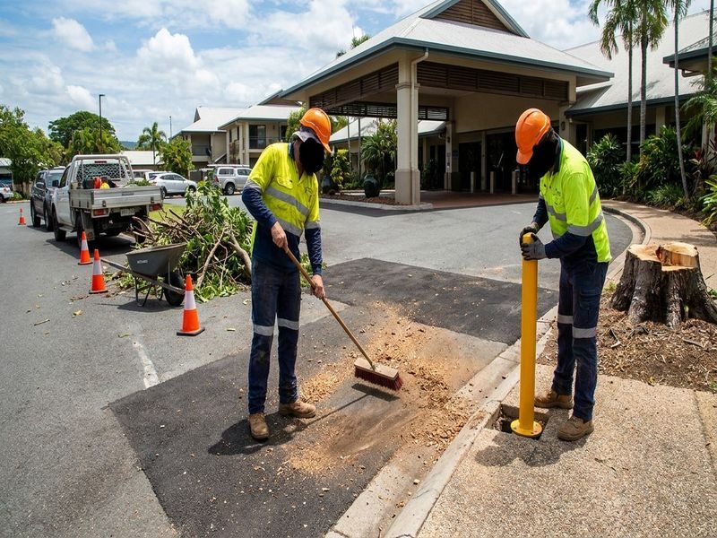 Tree Removal After Root Cairns Qld