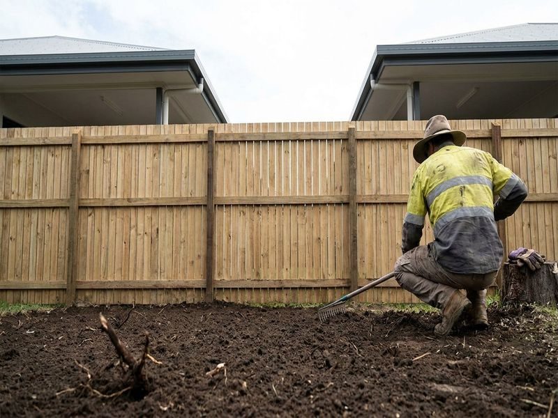 Tree Removal Near Public Cairns Qld