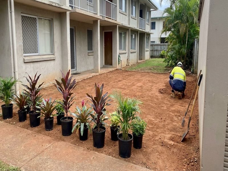 Tree Removal With Hanging Cairns Qld