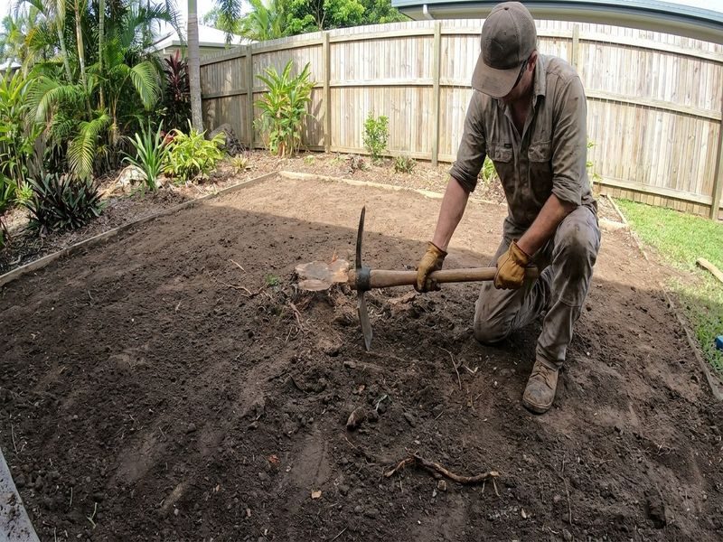 Dead Tree Removal Rental Cairns Qld