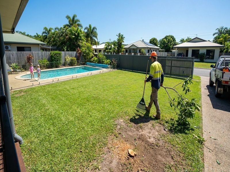 Termite Damaged Tree Removal Cairns Qld