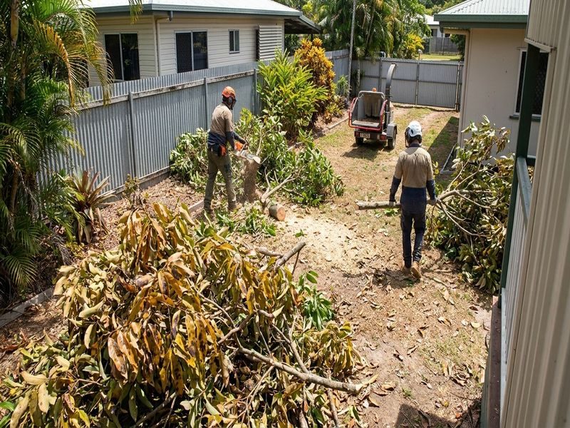 Tree Removal After Arborist Cairns Qld