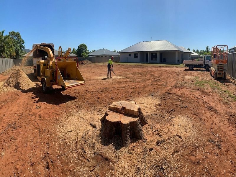 Sectional Large Tree Removal Cairns Qld